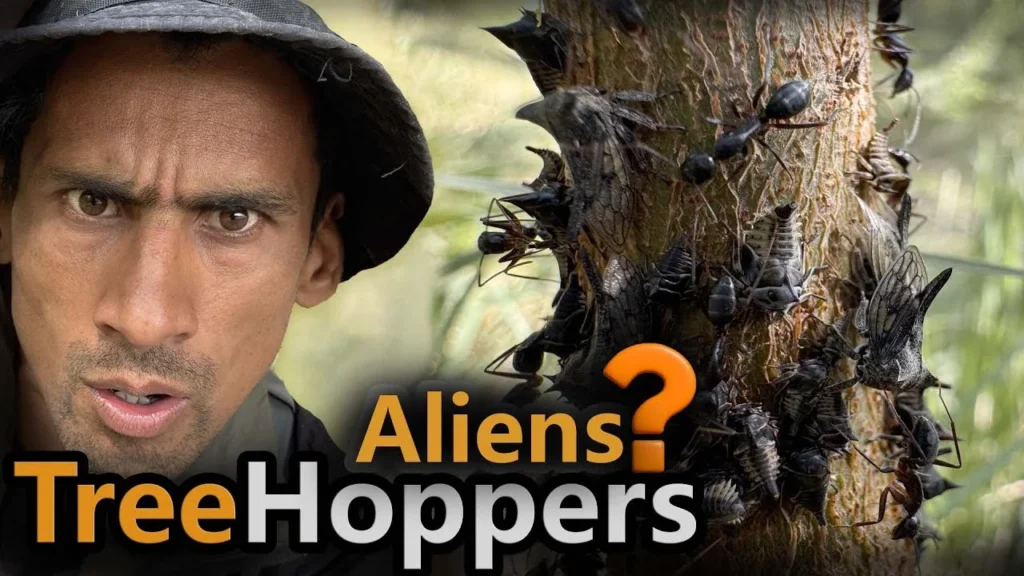 Tree Hoppers The living Aliens of Earth