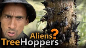 Tree Hoppers: The living Aliens of Earth